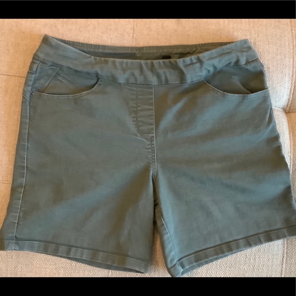 Briggs New York Pants - Riggs Jean Shorts Army Green Sz 12